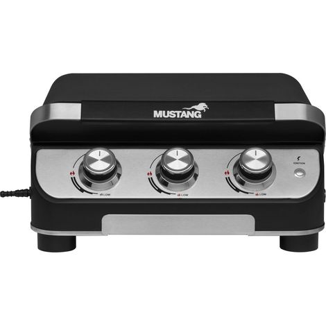 Piastra grill a gas 3