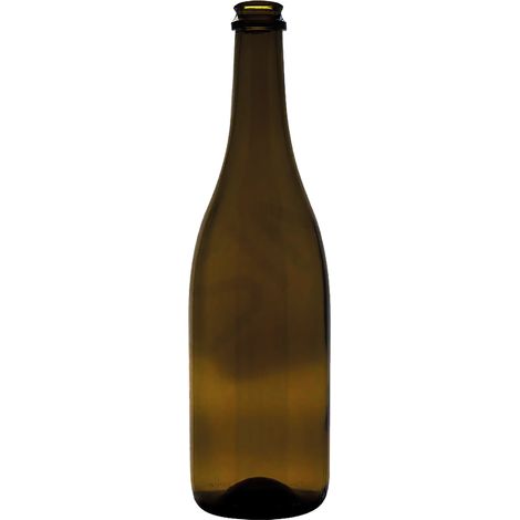 BOTTIGLIA IN VETRO TIPO 'CHAMPAGNE' 750 ml - colore antico- 12 pezzi  - BricoGo