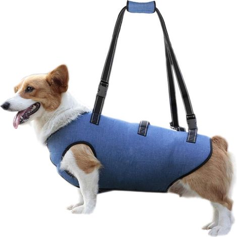 Hundehebegeschirr (blau), Unterstützung und Rehabilitation von Haustieren, verstellbare, gepolsterte und atmungsaktive Gurte für ältere Menschen (1/3)