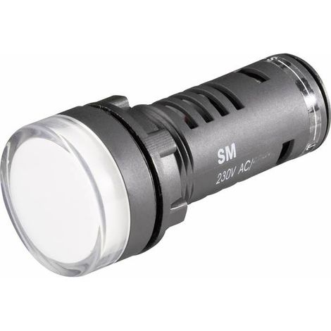 BARTHELME LUCE DI SEGNALAZIONE A LED ROSSO 24 V/DC, 24 V/AC 58602411