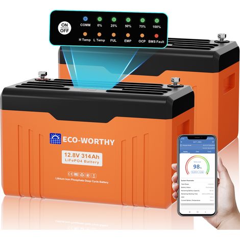 ECO-WORTHY LiFePO4 12V 314Ah Bluetooth Lithium Batterie mit Monitor-Anzeigelampe,200 BMS Niedrigtemperaturschutz, automatischer Ausfallalarm, 15000 Zyklen 8038Wh für Wohnmobile, Camping(2 pc)