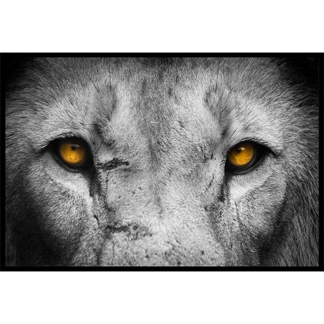 Affiche encadrée regard de lion en gros plan (1/5)
