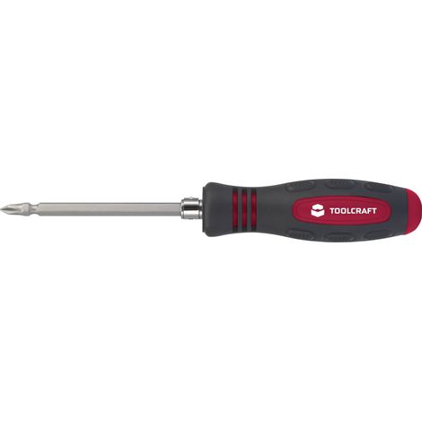 TOOLCRAFT TOURNEVIS PORTE-EMBOUTS 125 MM 1611630 (1/5)