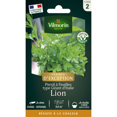Vilmorin Persil Lion - Graines d'Exception (1/2)
