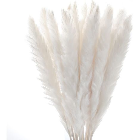 30 pièces de bouquet de roseaux naturels de la pampa, plumes séchées, phragmites communis, hautes plumes naturelles au toucher réaliste pour une décoration rustique de ferme, bureau, chambre, mariage  (1/5)