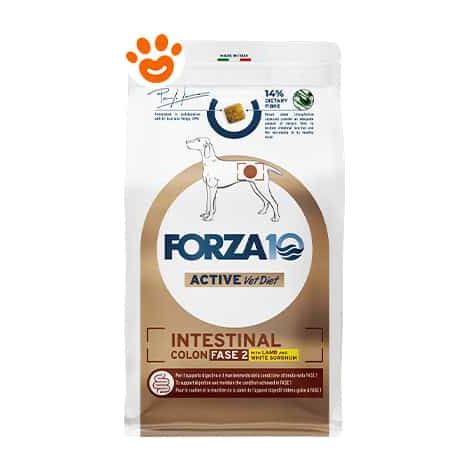 Forza10 Dog Active VetDiet Intestinal Colon Fase 2 Agnello e Sorgo