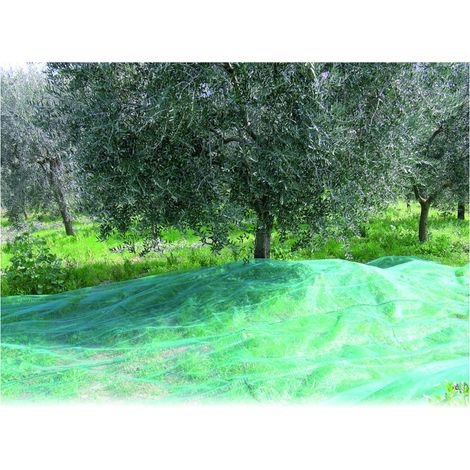Confine RETE PER OLIVE ANTISPINE mt. 6x 8 (100 G/M)