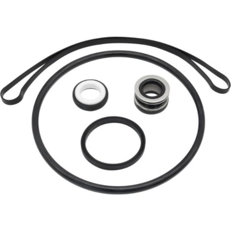 Hayward Super II Series Pool Pumps (Model SPX1600Z2 also compatible with SP3000X etc.) – Special O-ring kit for repairing the shaft seal--DTEKGAZ
