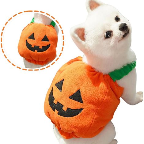 Costume de citrouille pour chien-DOU