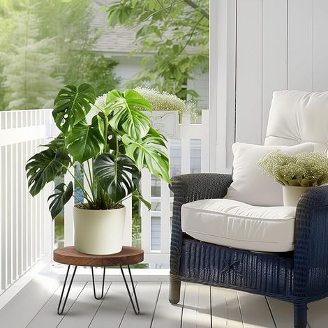 Support de plante en bois, tabouret de plante rond, support de plante intérieur et extérieur pour pots de fleurs de différentes tailles, idéal pour la maison, le jardin, la Cour (en bois) 2 pièces (1/5)
