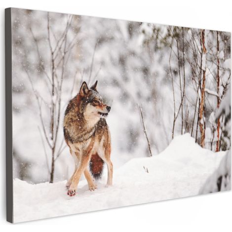TABLEAU SUR TOILE Loup - Hiver - Neige - Nature - Animaux Toile Peinture Grand Format XXL 150x100 cm