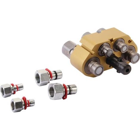 Multicoupleur CEJN MC109325250 (1/4)