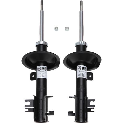 Ammortizzatori anteriori sinistro e destro per Citroën C8, Ulysse, Phedra e Peugeot 807. (1/5)