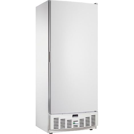 Armoire Réfrigérée Négative Porte Pleine - 520 Litres - AFI Collin Lucy