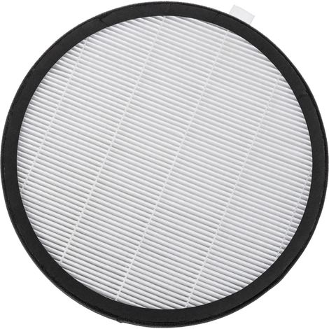 Filtro True HEPA per AirgoClean® 10 E