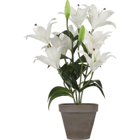 Mica Decorations Plante artificielle Blanc H47xl45xL45cm (1/5)