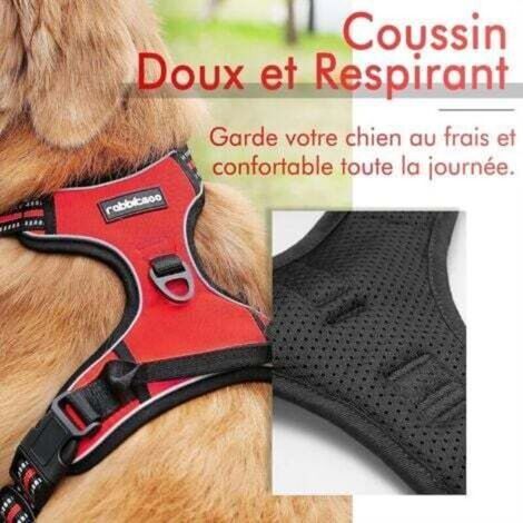 Harnais Chien XL Arnais Rouge Anti Traction Réfléchissant Gilet Réglable pour Chien Grand Taille, Attache Devant Crochet de Laisse pour Trajet Voiture, American Staff, Border Collier-Enlé (1/3)