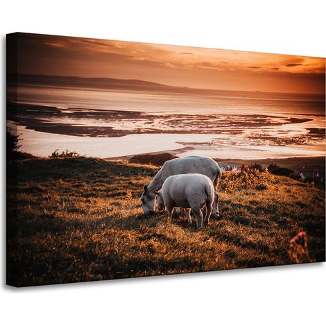 Leinwanddruck „Weidende Schafe“, 90 x 60