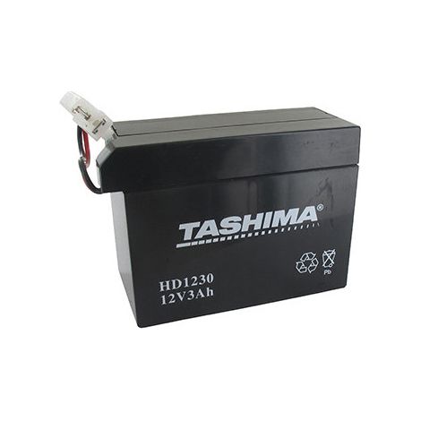Motorrad-Batterie Tashima 12V, 3A, anpassbar für Honda. L: 110, B: 55, H: 80 mm. Spezielle Verbindung. - Batterie zum Einlegen in Aci