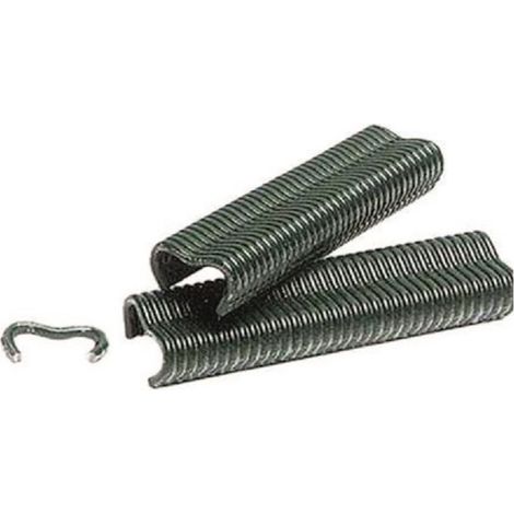 1000 grÐ©ne A-20 Staples Box