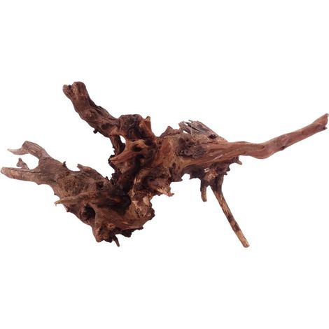XL Driftwood Flußwurzel Nr.4929 Holz Deko Aquascaping