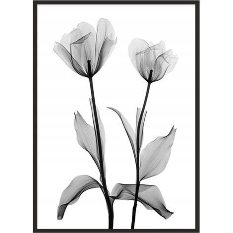 Póster con marco 53x73 cm Flores P1042 (1/4)