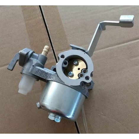 Carburador – Apto para Briggs & Stratton 796447