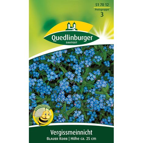 Quedlinburger Saatgut – Myosotis Blauer Korb – Graines de fleurs, hauteur 25 cm, environ 30 plants (1/2)