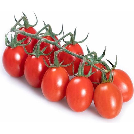 Tomate Cerise Rouge 500 pcs – Semences Potager – Fruits Sucrés
