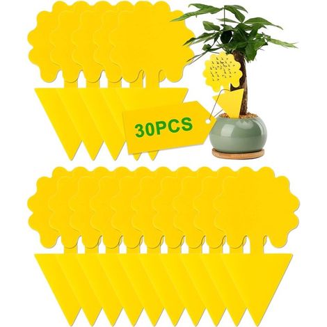 Lot de 30 pièges à mouches des fruits – Bandes adhésives anti-mouches des fruits – Pièges à mouches – Pièges adhésifs pour insectes – Pour l'intérieur et l'extérieur – Plastique – Jaune (1/5)