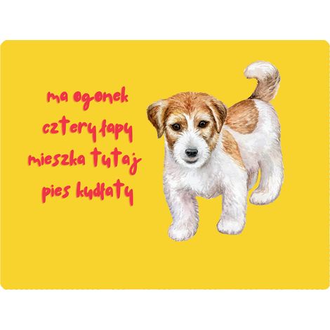 Placa de Shaggy Ciapek - 20x28 cm