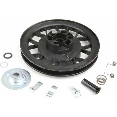 Kit réparation lanceur pour moteur Tecumseh (1/5)