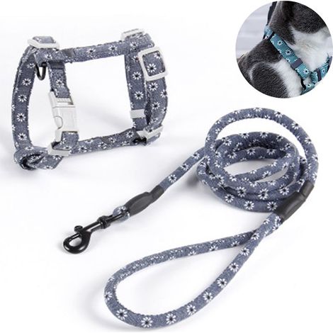 Laisse pour chat taille M - Gris foncé (1/5)