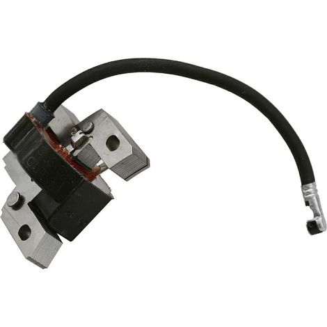 Brigg & Stratton Bobina elettronica motori OHV serie 090600, 110000, 120000 (1/3)