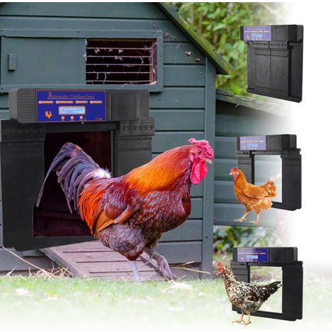 Porte Automatique de Poulailler électrique à énergie Solaire et Alimentée par Batterie – D'enclos Poulet Double Ouverture avec Télécommande/minuterie/affichage (BLACK) - BLACK (1/5)