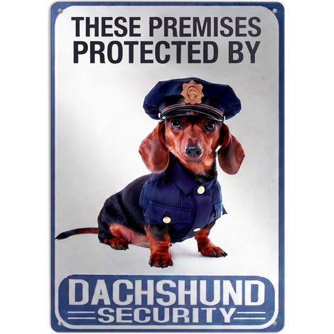 Panneau Avertissement en Métal, Panneau Rétro de Sécurité pour Chien, Plaque Murale en Aluminium pour Décoration de Bureau, Maison, Bar, Café, Jardin, 20x30cm (1/5)