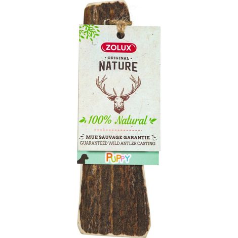 Bâton à mâcher en Bois de Cerf XS biseauté Puppy, environ 15 cm, pour chiot. - zolux