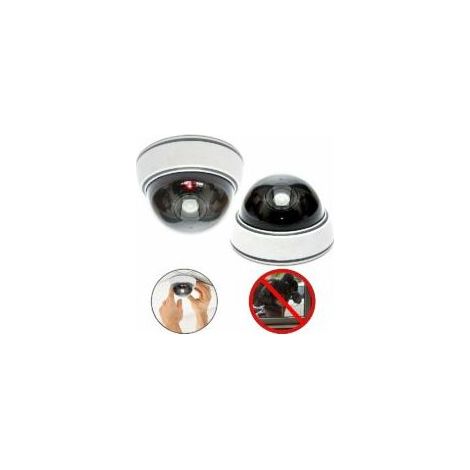 Lot of 2 Professional Dome Cameras with Dummy Flashing Camera with Lens and Dummy Fake Video Surveillance (1/5)