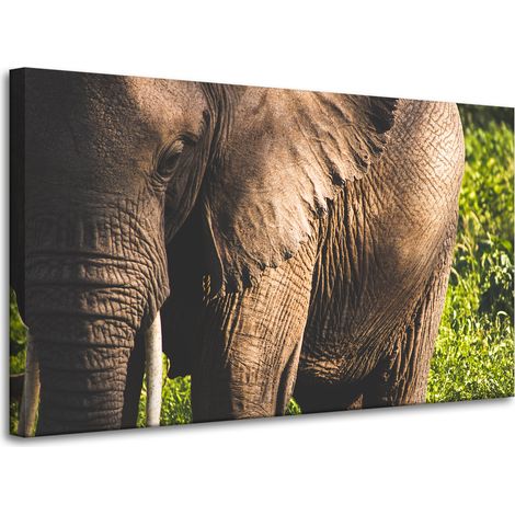Stampa su tela Animali Elefante Primo piano 100x60