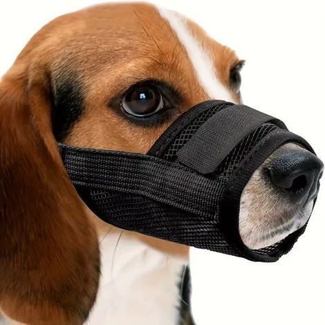 Museruola nera per cani, taglia XL, circonferenza del muso 22-28 cm, 1 pezzo, per prevenire morsi e ingestione indiscriminati. (1/5)