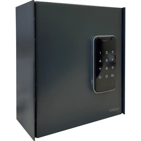 ARREGUI KEYPRO PLPRO14 Armario para Llaves con 14 Ganchos  Cerradura Electrónica con Teclado  Caja de Seguridad de Acero para 14 Llaves  Fácil Instalación en Pared  22x20x10 cm  Gris antracita (1/5)