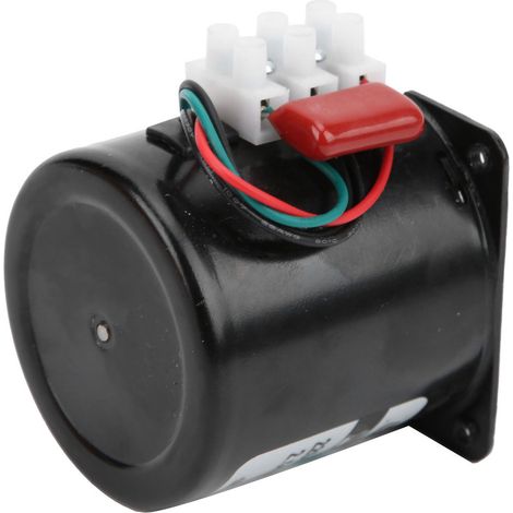 Moteur Synchrone Mini AC 14W 110V, Générateur à Engrenages Métallique pour Projets DIY 5 tr/min