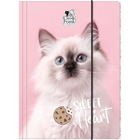 Cleo und Frank 45 (Kat.) A4 elastische Mappe derform