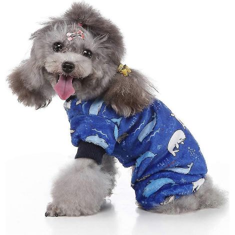 Artículos para mascotas de otoño e invierno de cuatro patas (1/5)