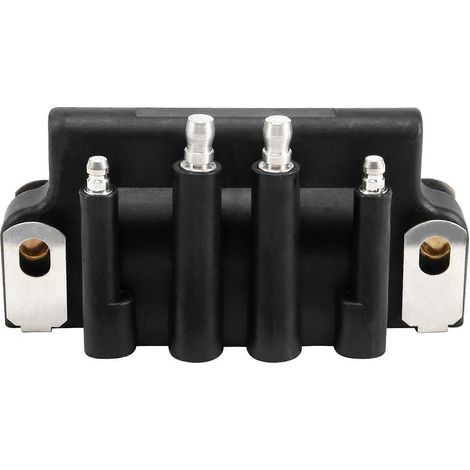 Compatible avec les bobines d'allumage double bobinage Evinrude 2/4/6 cylindres - Modèle 2006 (1/5)