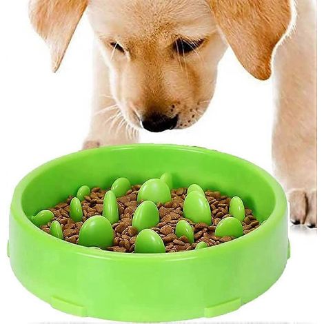 Gamelle anti-glouton verte pour chiens et chats, favorise une alimentation saine et une digestion lente. (1/5)