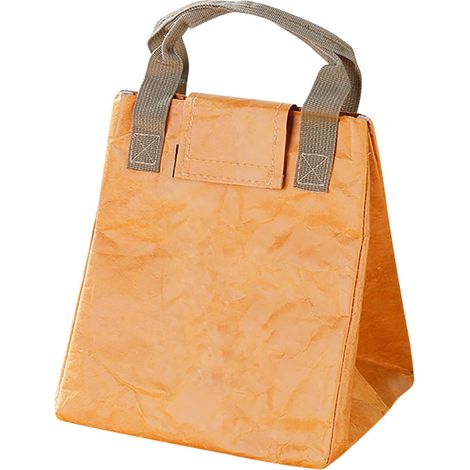 Boîte à lunch pour fille, sac à lunch réutilisable isotherme pour femme, idéal pour le travail, les pique-niques ou les voyages. Convient aux hommes et aux femmes. (1/4)