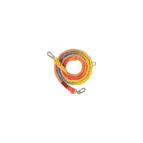 Geflochtene Hundelaufleine – Regenbogenmuster – Goldene Accessoires – Länge 210 cm (1/5)