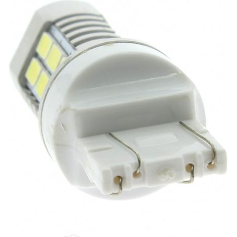 1 Ampoule LED 50W - 12 24V T20 360degres Double filaments Blanc - EvoFormance (1/3)