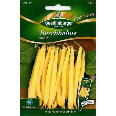Quedlinburger Buschbohne Uranus - Gemüsesamen (1/2)